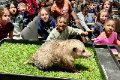 Bissell Tigers Enjoy Field Trip