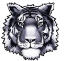 Calculate Estimated Tax Increase Associated with the May 6, 2025 Bond Levy for the Tiger Legacy Project