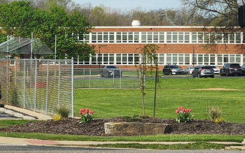 picture of flower bed in front of school