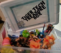 Tiger Tech Treasure Box